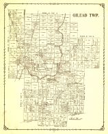 Gilead TWP, Morrow County 1901